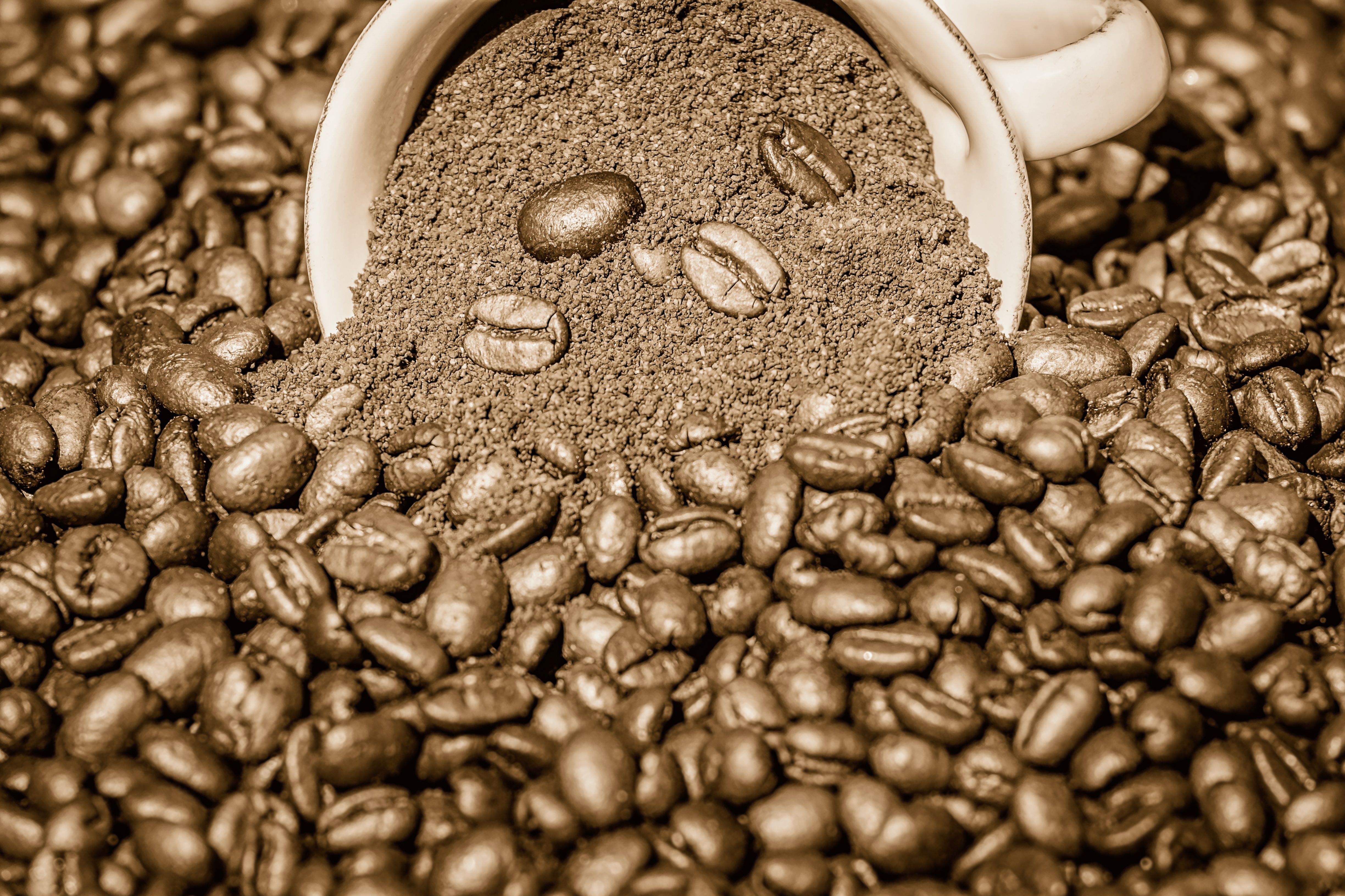 COFFEE GROUNDS, KALEIDOSCOPES, AND CHARACTER