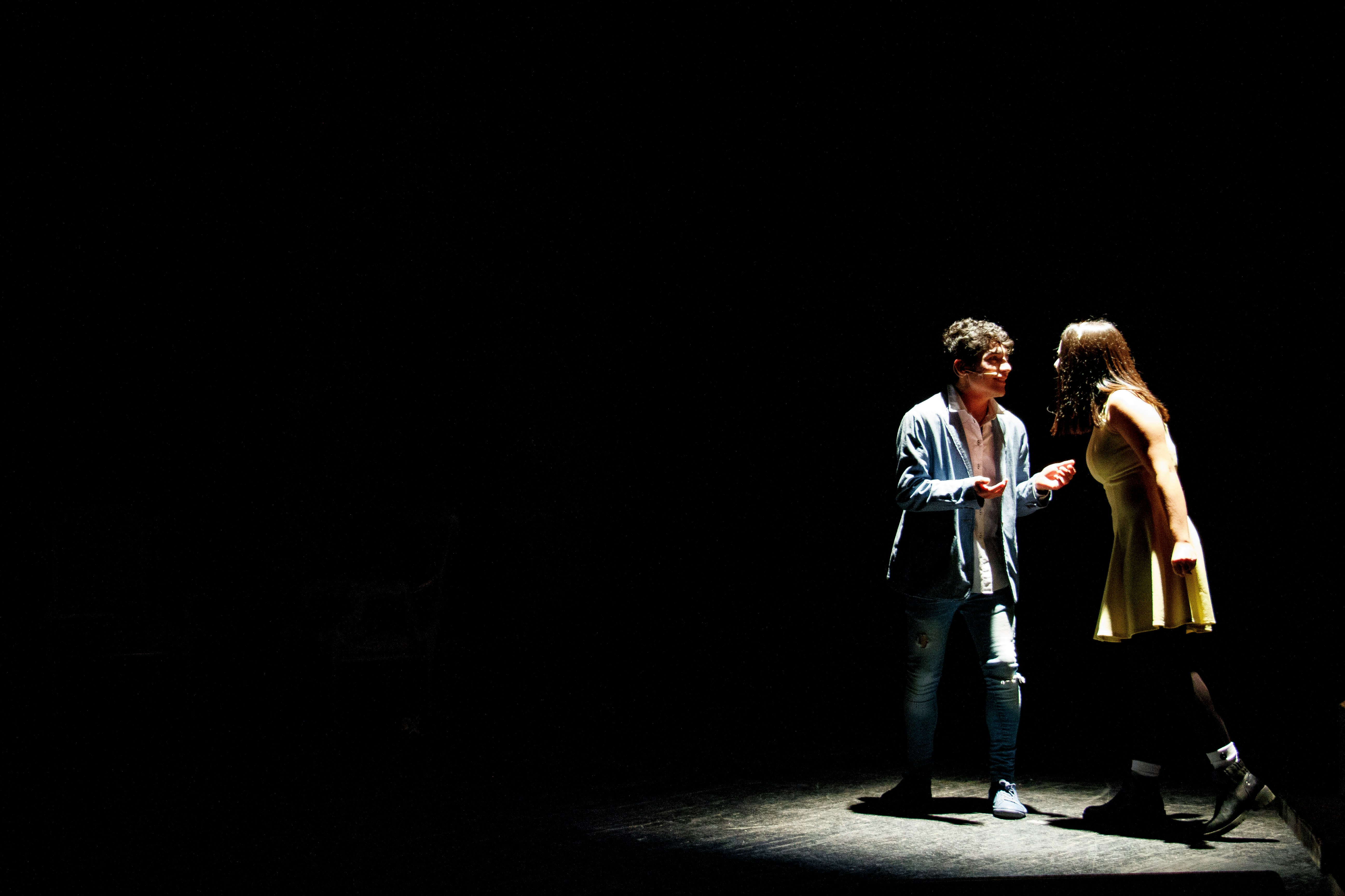 SCENE STUDY STEPS: A PRIMER FOR THE AMATEUR AND THE PRO